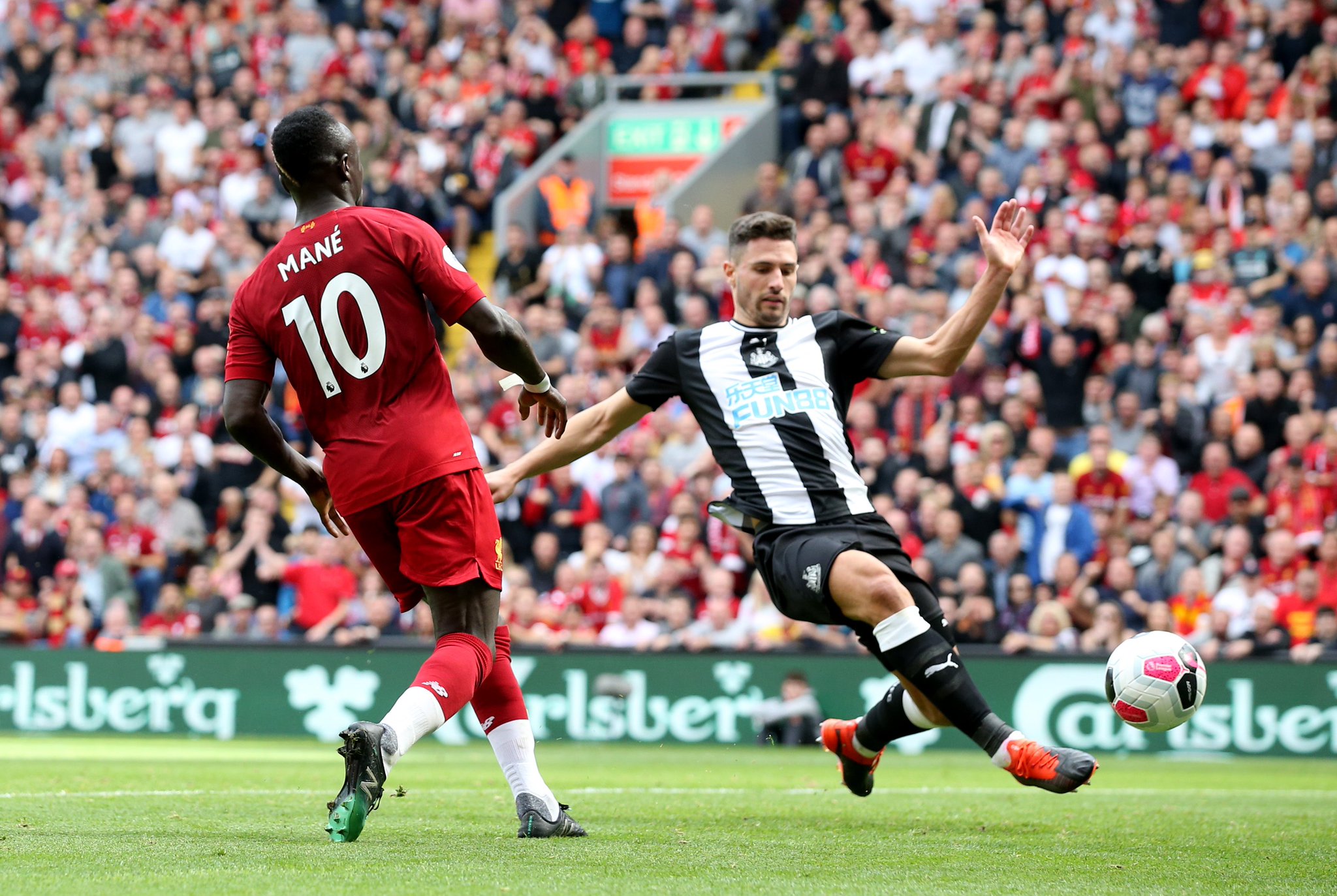 他们对马利 他们对马利