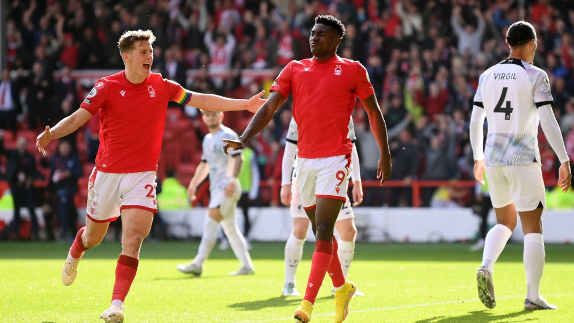 丝们树立了 丝们树立了