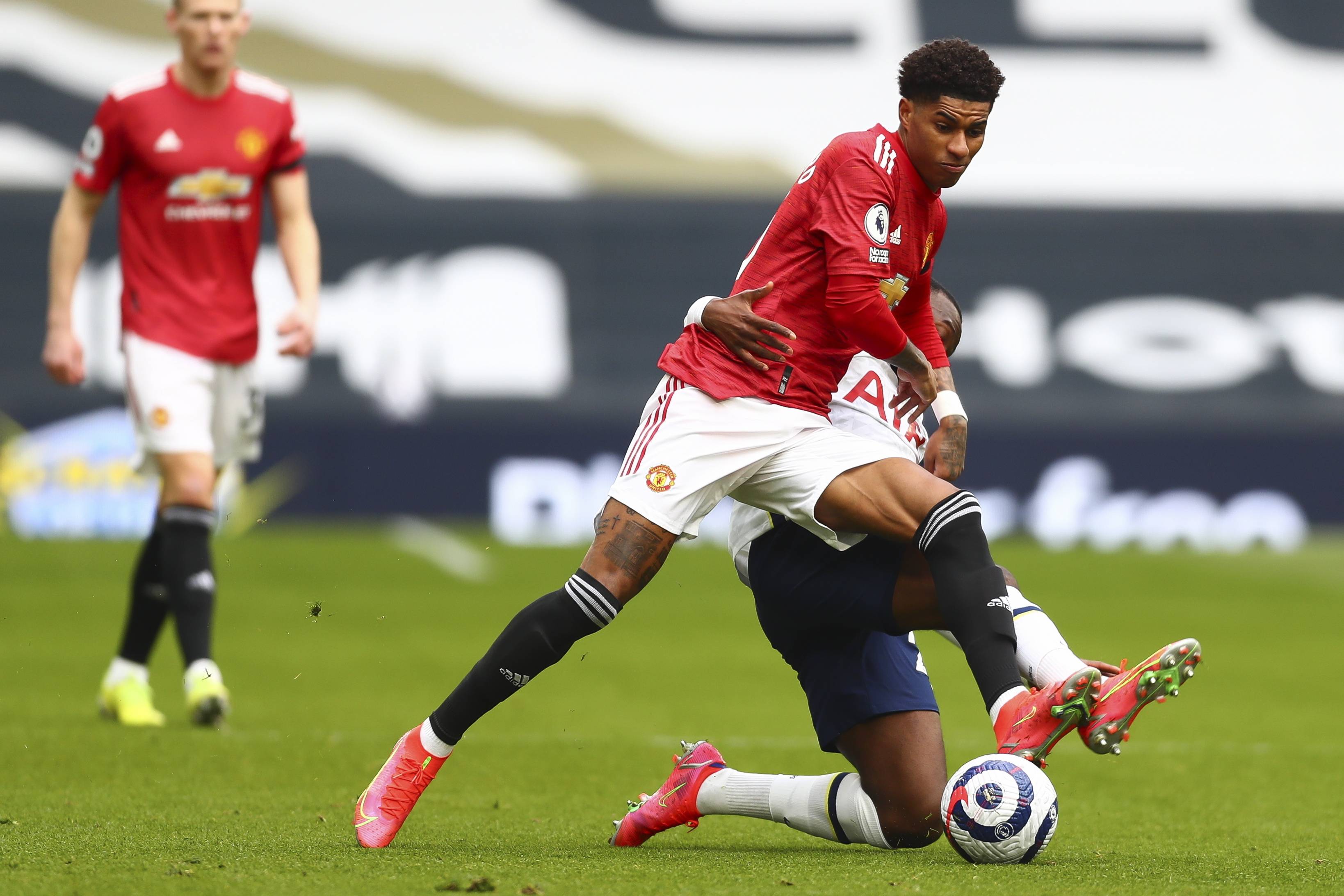 的期待不仅 的期待不仅